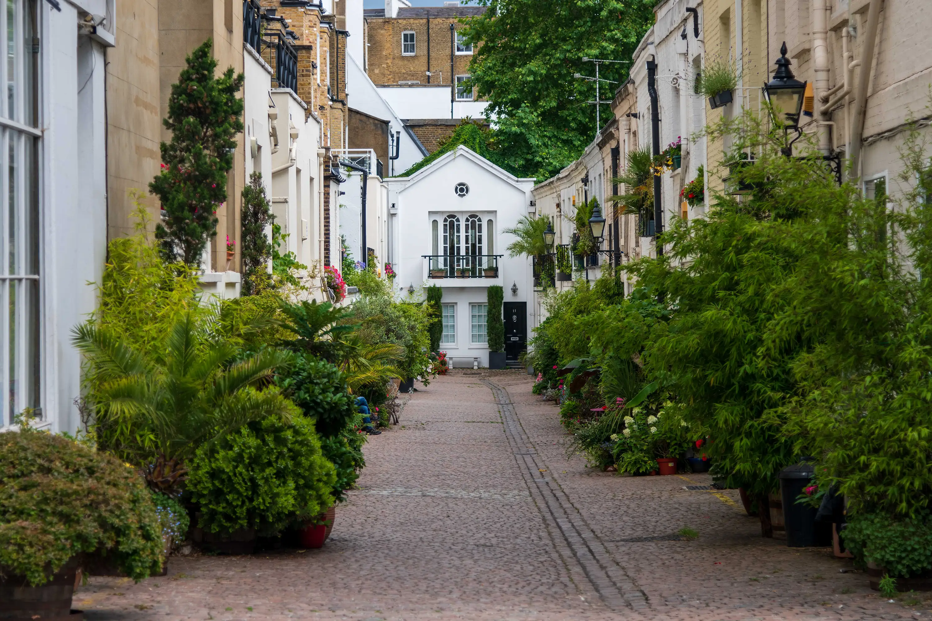 Mews in London with beautiful potted greenery
